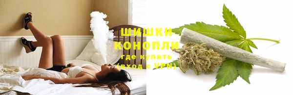 mix Богородск