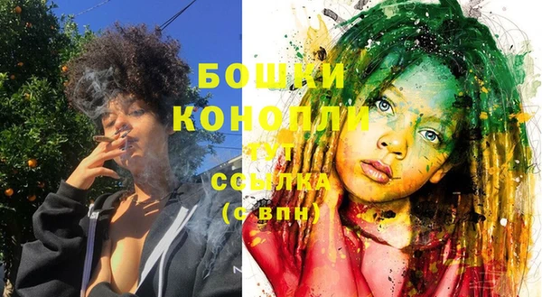 mix Богородск