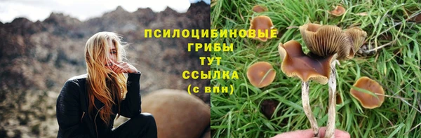 mix Богородск