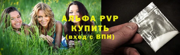 стаф Богородицк