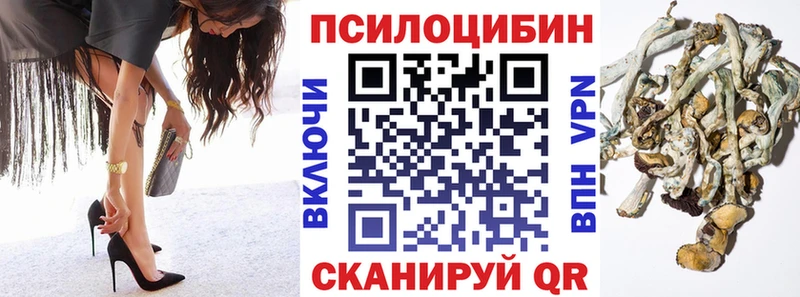 Псилоцибиновые грибы GOLDEN TEACHER  где найти   Дубна 